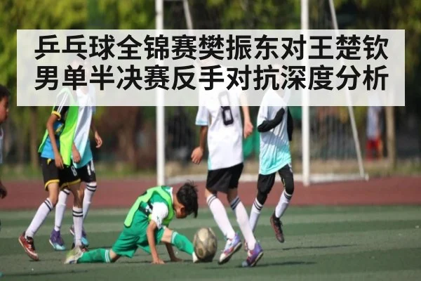 乒乓球全锦赛樊振东对王楚钦男单半决赛反手对抗深度分析